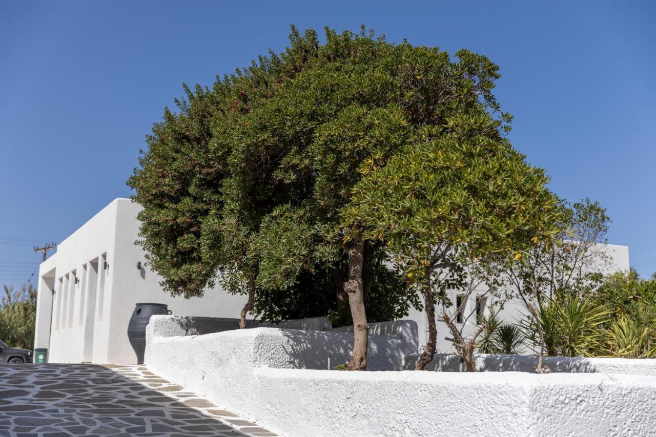 Naxos Green Village Hotel Naxos City ภายนอก รูปภาพ
